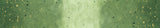 Ombre Galaxy Metallic Evergreen by V & Co. Half Yard Increments 10873-324m for Moda Fabrics