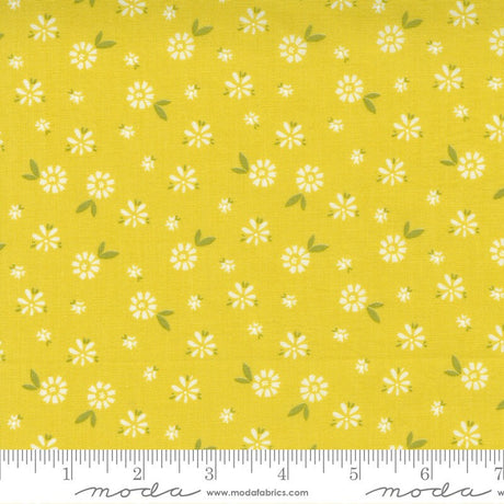 Seashore Drive Blossom Citrine Yardage 37622-12 by Sherri and Chelsi for Moda Fabrics Sold in 1/2 Yard Increments