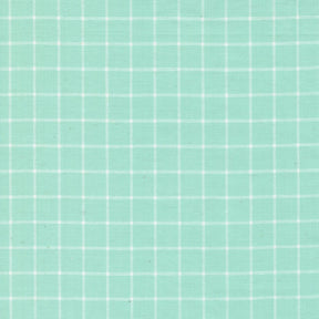 Merry Little Christmas Wovens Aqua Grid Yardage 55249-16