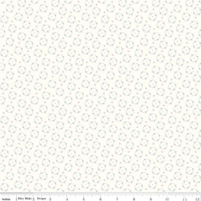 Hush Hush 2 Secret Love C12887-Secretlove by Amy Smart for Riley Blake Designs Sold by 1/2 Yard Increments