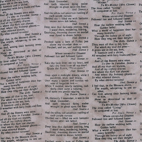 Eerily Elegant poetry - Wicked Grey SKU 19811 15 by Deb Strain for Moda Fabrics