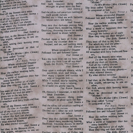 Eerily Elegant poetry - Wicked Grey SKU 19811 15 by Deb Strain for Moda Fabrics