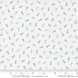 Mix it Up Mini Charm 2.5 inch squares 33700MC by Moda Fabrics