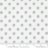 Mix it Up Mini Charm 2.5 inch squares 33700MC by Moda Fabrics