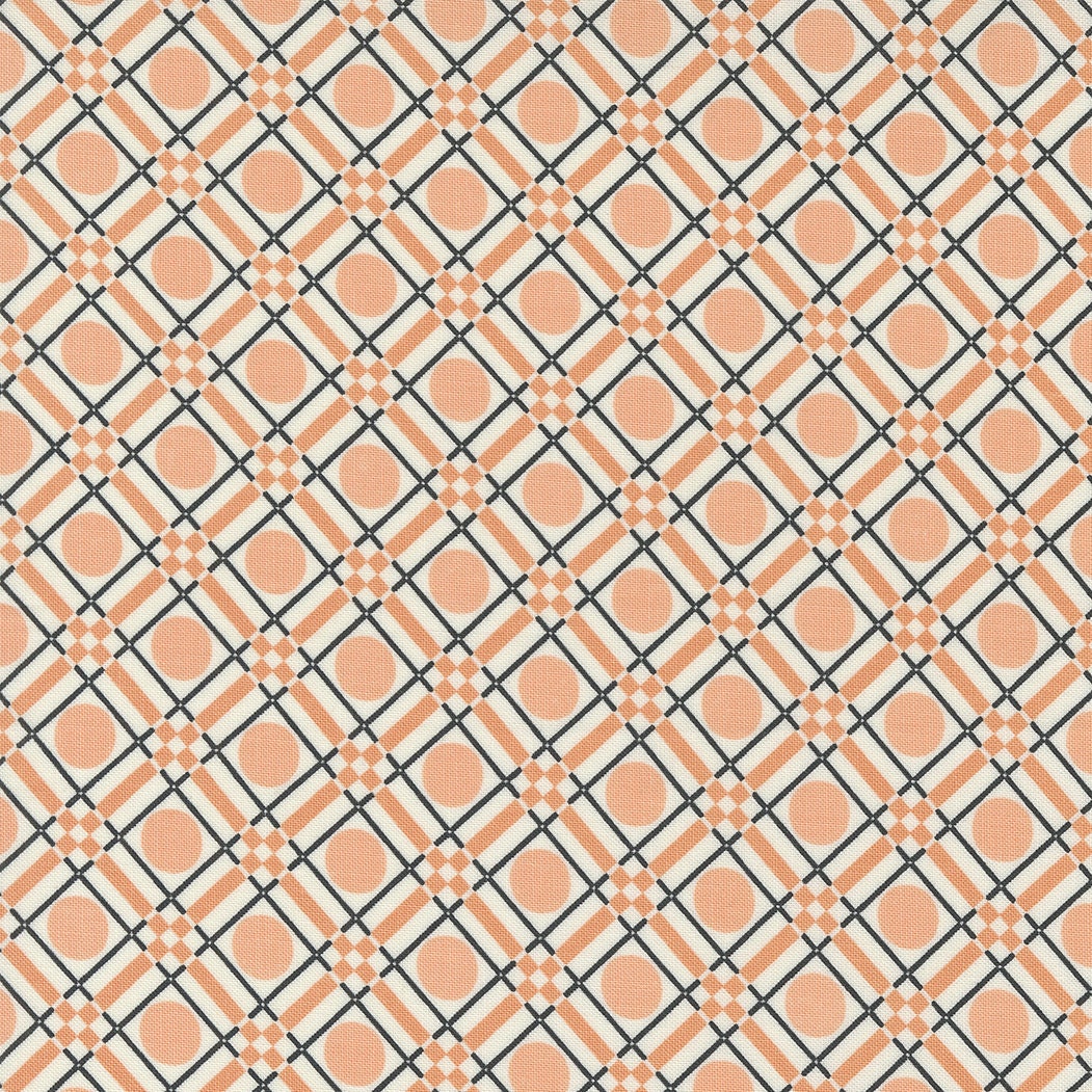 Owl O Ween Party Plaid in Ghost 31193 11 by Urban Chicks Sold in 1/2 yard Increments