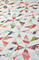 Heydey Printed Pattern ONLY, From Thimble Blossoms By Roskelley, Camille TBL228