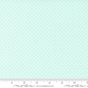 Lighthearted Summer Light Aqua 55295 14 Sold by 1/2 yard increments cut contiguously
