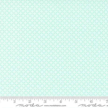 Lighthearted Summer Light Aqua 55295 14 Sold by 1/2 yard increments cut contiguously