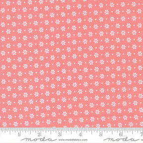 Bountiful Blooms Daisy Blush Yardage 37664-15 by Sherri and Chelsi Sold in 1/2 yard increments cut continiously