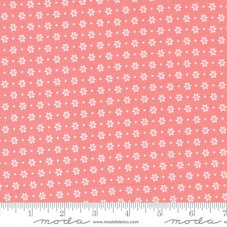 Bountiful Blooms Daisy Blush Yardage 37664-15 by Sherri and Chelsi Sold in 1/2 yard increments cut continiously