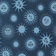 Starry Sky Solar Night Yardage 24161-17 by April Rosenthal for Moda Fabrics Sold in 1/2 yard increments