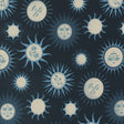 Starry Sky Solar Midnight Yardage 24161-18 by April Rosenthal for Moda Fabrics Sold in 1/2 yard increments