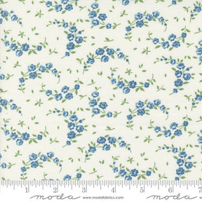 Shoreline Summer Cream Multi 55308-11 by Camille Roskelly Sold in 1/2 yard Increments