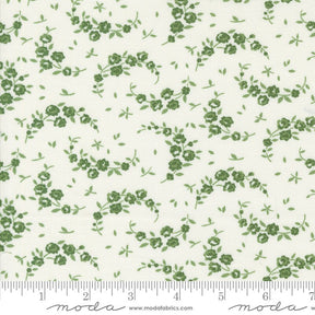 Shoreline Summer Cream Green 55308-25 by Camille Roskelly Sold in 1/2 yard Increments