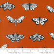 Noir Mystic Moth Pumpkin Yardage 11543-14 by Alli K Design Sold in 1/2 yard increments