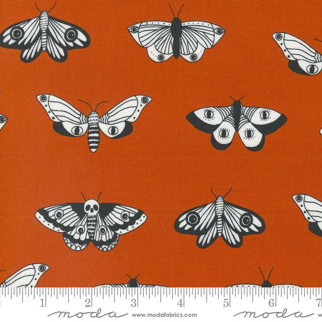 Noir Mystic Moth Pumpkin Yardage 11543-14 by Alli K Design Sold in 1/2 yard increments
