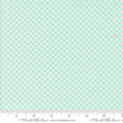 Jelly & Jam Gingham Mason Jar Yardage 20495-18 by Fig Tree and Co. for Moda Fabrics Sold in 1/2 Yard Increments