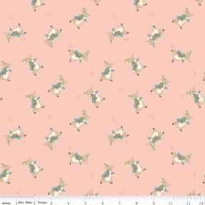 The Tale of Peter Rabbit Coral Peter Toss C14702-Coral Fabrics Sold in 1/2 Yard Increments