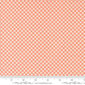 Jelly & Jam Gingham Rhubarb Yardage 20495-13 by Fig Tree and Co. for Moda Fabrics Sold in 1/2 Yard Increments