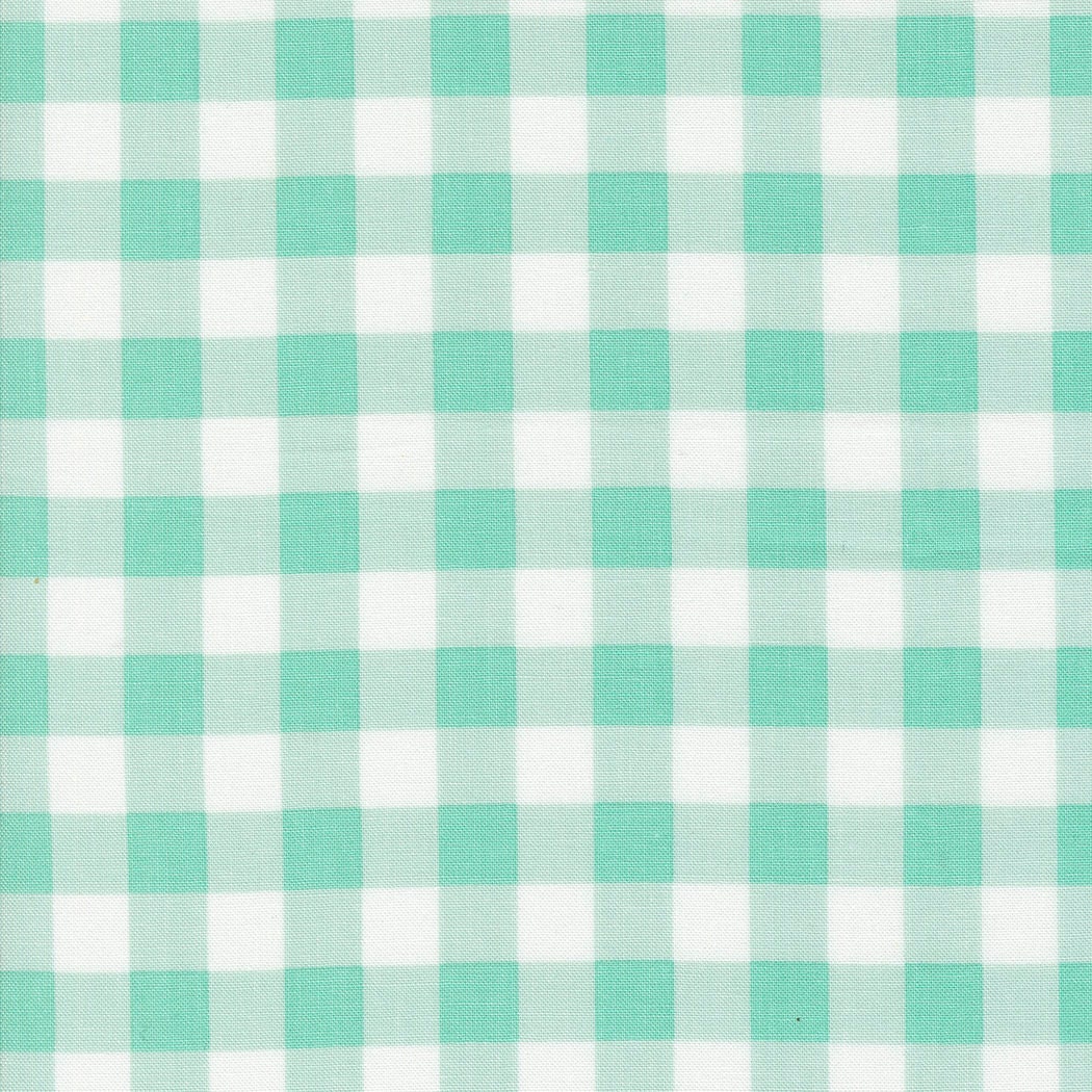 Coriander Colors Gingham Aqua 29201-17 by Corey Yoder for Moda Fabrics