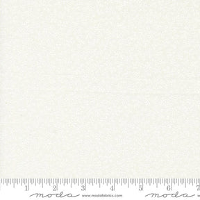 a ruler is shown with a white background