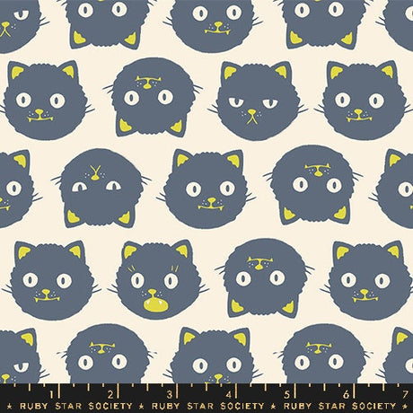 a large group of cats on a white background
