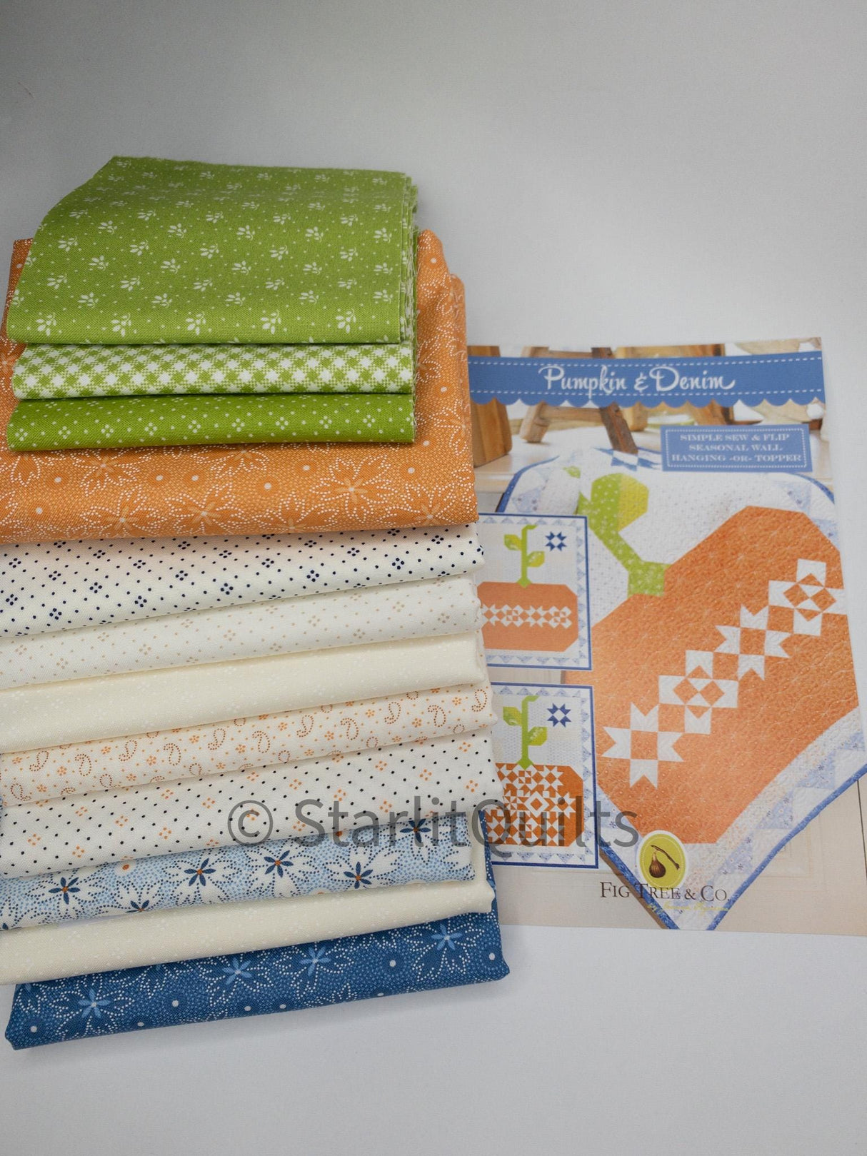 Pumpkin & Denim Quilt Kit by Fig Tree Quilts FTQ1992kit 21" x 26" includes Pattern, Binding and fabric pictured