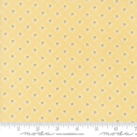 a yellow background with small white dots