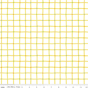 a white background with yellow and green squares