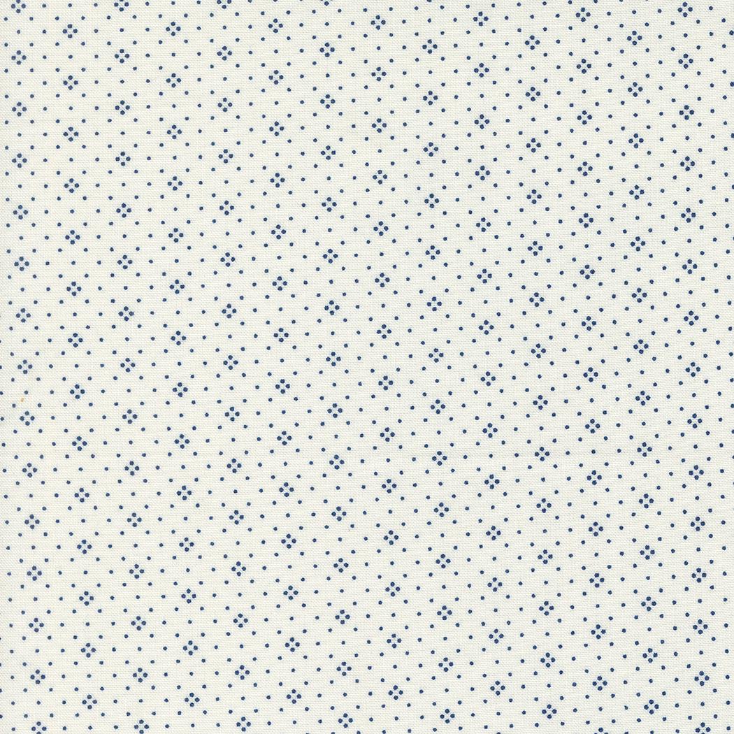a white background with blue dots on it