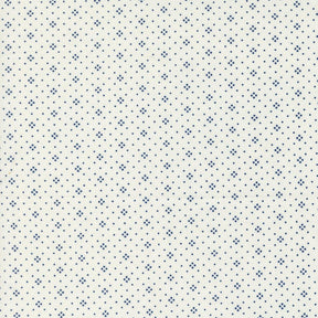 a white background with blue dots on it