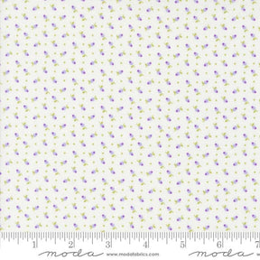 a white background with purple and yellow dots