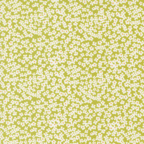 a green and white background with small white flowers