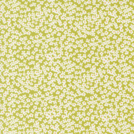 a green and white background with small white flowers