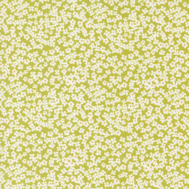a green and white background with small white flowers
