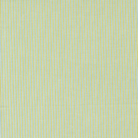a close up of a green and white striped fabric