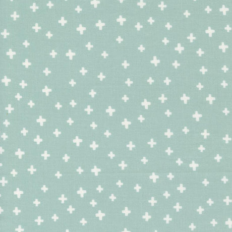 a light blue background with white crosses on it