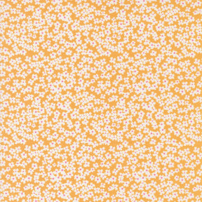 a yellow and white background with small white flowers
