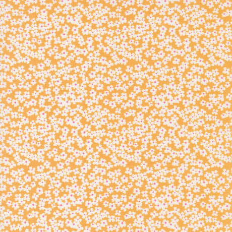 a yellow and white background with small white flowers