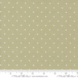 a ruler with white dots on a green background