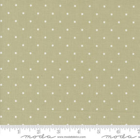 a ruler with white dots on a green background