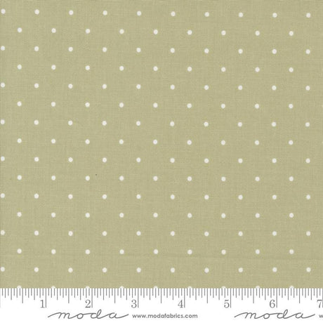 a ruler with white dots on a green background