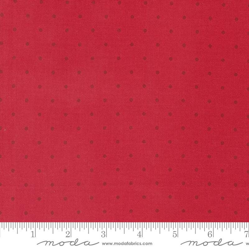 a ruler with a red background with black dots