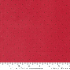 a ruler with a red background with black dots