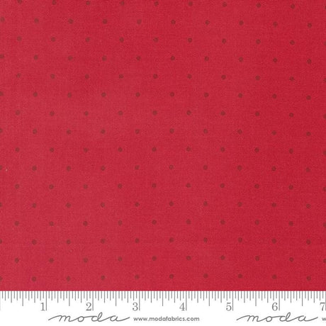 a ruler with a red background with black dots