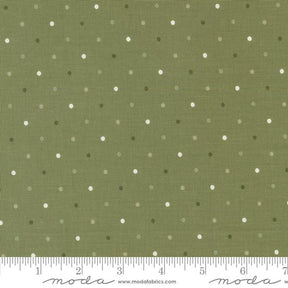 a ruler with a green background with white dots