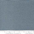 a ruler with a blue and white pattern on it