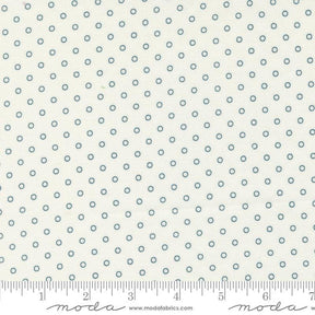 a ruler with a white background with blue dots