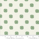 a white background with green snowflakes on it