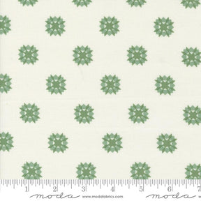 a white background with green snowflakes on it